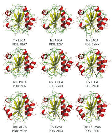Alvaro Ingles-Prieto et al.. Estructuras resucitadas