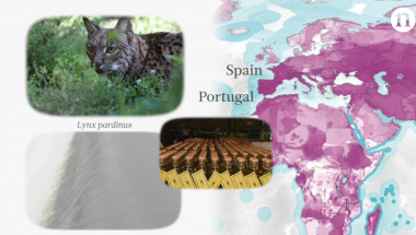 <p>Mapa global que identifica en diferentes países los lugares donde existen especies amenazadas debido al consumo de mercancías / Nature</p>