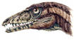 El hallazgo de un nuevo dinosaurio arroja luz sobre su evolución 
