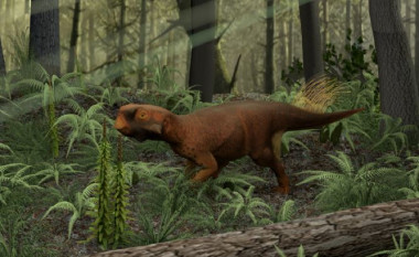 <p>Reconstrucción del Psittacosaurio que vivía en bosques con vegetación densa. / Jakob Vinther et al.</p>