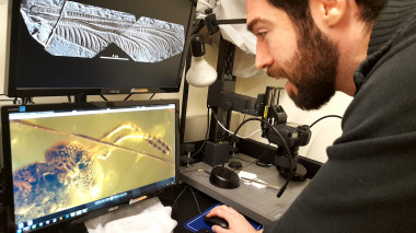 <p>El paleontomólogo de Harvard, Ricardo Pérez de la Fuente, en su laboratorio donde fotografía los miles de insectos fósiles de una de las mayores colecciones que existen en el mundo. Imagen: Sinc</p>