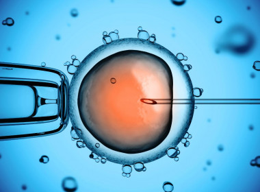 <p>En el experimento, la comicroinyección del espermatozoide, junto con los reactivos CRISPR, parece fomentar la corrección del gen mutado a través de la ruta favorable. / Fotolia</p>