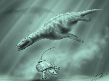 <p>Recreación de los mares que cubrían Manzanera hace unos 230 millones de años, con un placodonto en la parte inferior de la imagen, el reptil <em>Simosaurus </em>en el centro y, al fondo, la silueta de un ictiosaurio. / Reconstrucción de Carlos de Miguel Chaves (UNED y FCPTD)</p>