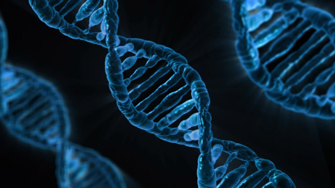 La doble hélice de ADN está compuesta por cuatro bases químicas: adenina (A), guanina (G), citosina (C) y timina (T). / Pixabay