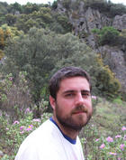 Lagartija de turbera