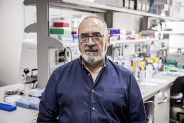 <p>Juan Cruz Cigudosa en los laboratorios de NIMGenetics del Parque Científico de la Universidad Autónoma de Madrid. <a href="http://www.agenciasinc.es/En-exclusiva/PROGRAMADOS/Juan-Cruz-Cigudosa-director-cientifico-y-cofundador-de-NIMGenetics" target="_blank">Imagen</a>: Olmo Calvo / Sinc</p>