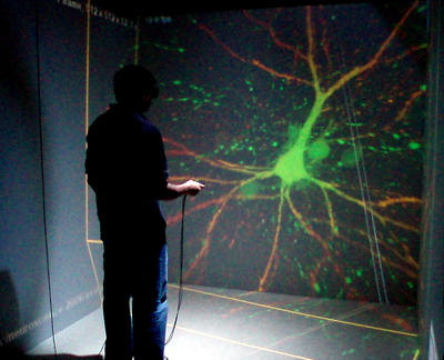 Resultado de imagen de ¿El cerebro? Un revoltijo de conexiones sin sin fin