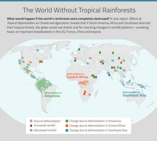 Infografía: Universidad de Virginia