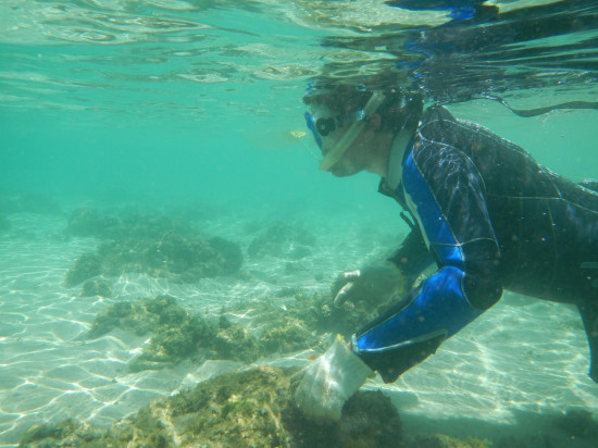 Renaud Vincentelli muestreando conos venenosos en Madagascar. Imagen: RV