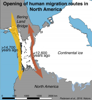 Mapa de la apertura de las rutas de migración humana en América del Norte reveladas por los resultados presentados en este estudio / Mikkel Winther Pedersen