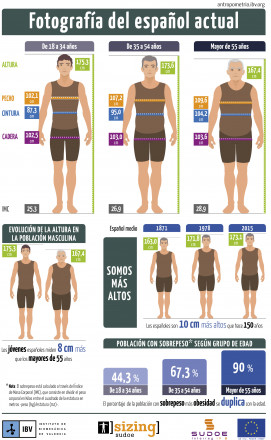 Infografía con las características fisionómicas del español medio. / IBV