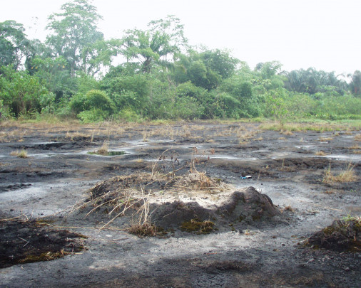 Secuelas de un vertido de petróleo en Ogoniland, al sur de Nigeria. En la actualidad, las explotaciones petrolíferas en los bosques tropicales se están expandiendo rápidamente. / Simon Lewis