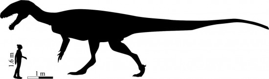 Silueta del enorme dinosaurio carnívoro de Lesoto al lado de un ser humano a escala / Fabien Knoll y Lara Sciscio