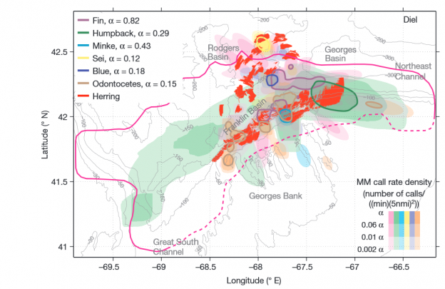 160302_mapa_cetaceos 160302_mapa_cetaceos