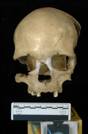 Cráneo de la mujer de 35.000 años de antigüedad hallada en una cueva rumana. / Erik Trinkaus y Andrei Soficaru