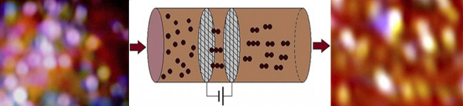 160620_esquemachocolate_Rongjia Tao et al