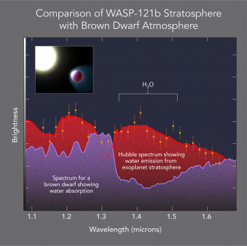 Comparación entre la estratosfera del exoplaneta WASP-121b (en rojo) y la atmósfera de una estrella enana marrón (en violeta). / NASA, ESA, and G. Bacon (STSci)