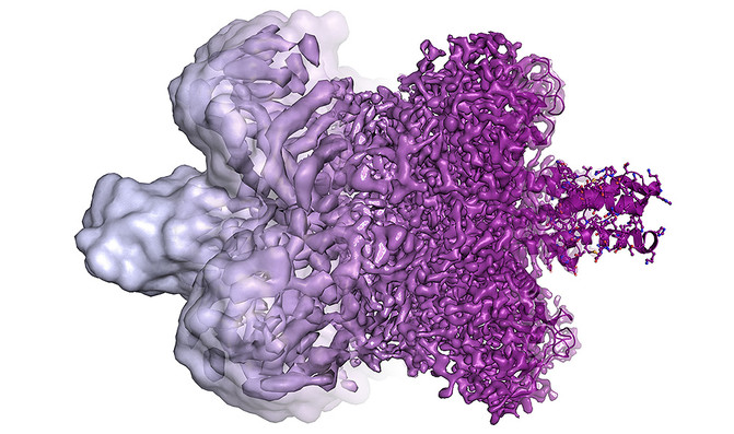 171004_nobel_quimicamolecula_NobelPrize