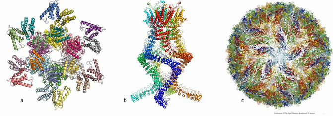 171004_nobel_quimicamoleculas_NobelPrize