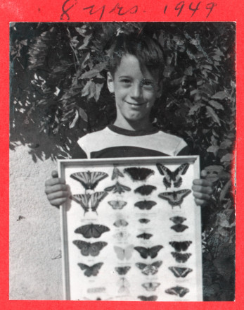 180408_mariposas3