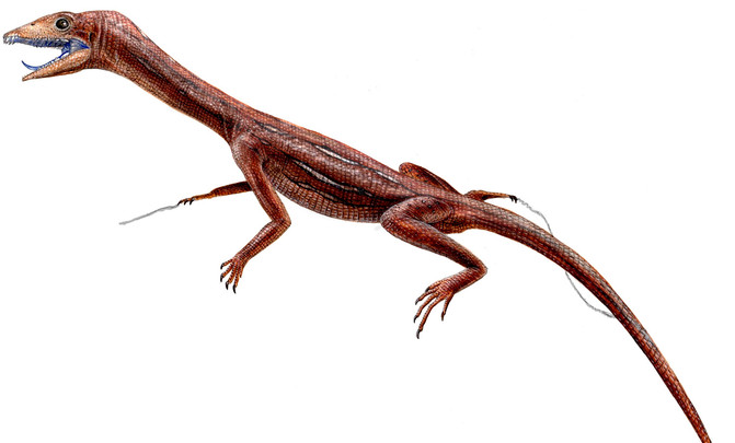 1_langobardisaurus