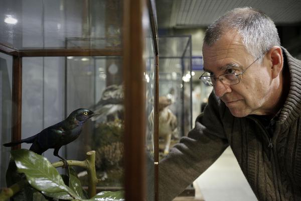 Juan Moreno Klemming / Olmo Calvo | Sinc