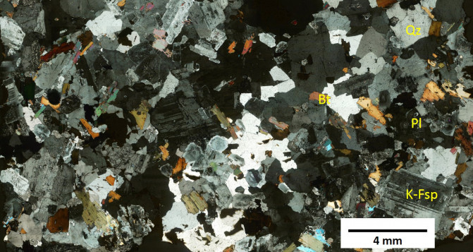 Alpedrete microscopio2