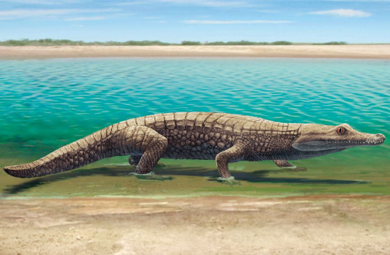 Recreación de un cocodrilo en el entorno de Las Hoyas / Ó. Sanisidro