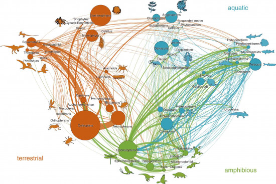 Red trófica de Las Hoyas / Ángela D. Buscalioni et al.