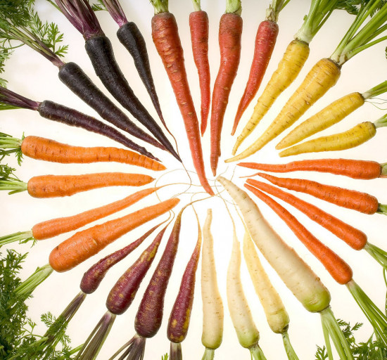 Carrots_of_many_colors_cutout