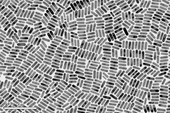 Nanopalitos de oro ultramonodispersos que se comportan como clones desde un punto de vista óptico. / Guillermo González Rubio
