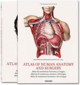 cover_ju_25_bourgery_anatomy_slipcase_iep_1202021356_id_537755 cover_ju_25_bourgery_anatomy_slipcase_iep_1202021356_id_537755
