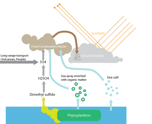 Diagrama de la formación de las nubes y su albedo. /Daniel McCoy / Universidad de Washington