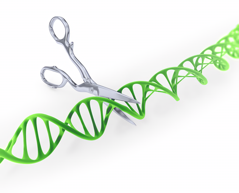 El-origen-de-CRISPR-Cas-contado-por-un-microbiologo-y-un-genetista_image_380