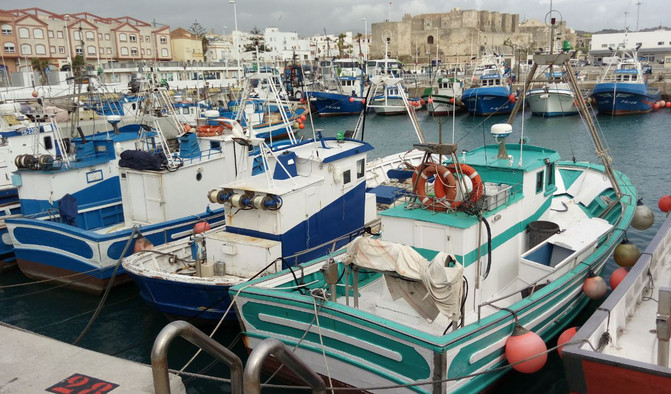 Embarcaciones de pesca