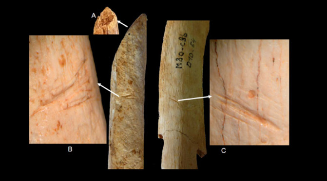 Fig.3