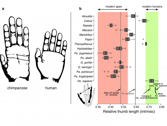 Figure1