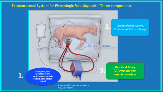 Esquema del sistema para soporte fetal fisiológico: / CHOP