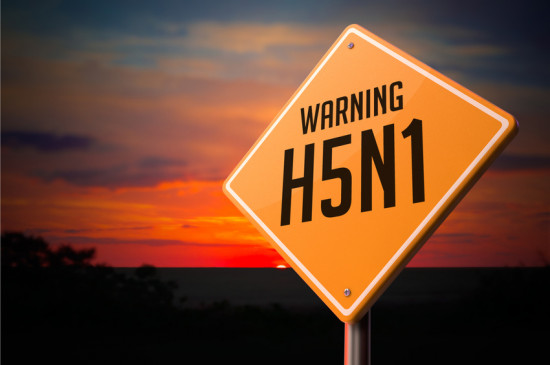 H5N1 on Warning Road Sign Fotolia_77999044_S
