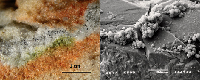Sección de una roca colonizada por microorganismos criptoendolíticos y detalle al microscopio electrónico de un hongo Cryomyces en cristales de cuarzo. / S. Onofri et al.