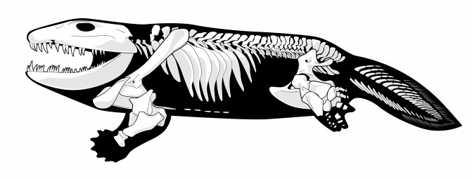 Ichy line drawing-v4-01