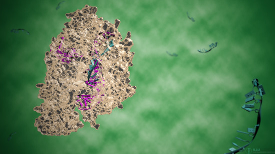 Ilustración del complejo CRISPR-Cpf1. Guiada por una molécula de ARN, la proteína Cpf1 puede ser programada para reconocer y cortar una secuencia específica en el genoma. / llusciences