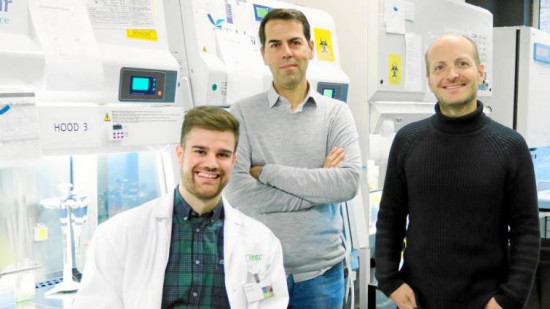 Investigadores_células superdeformables