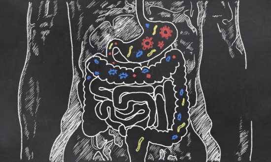 Mantener una flora intestinal ‘saludable’ puede ayudar a combatir el cáncer. / Fotolia