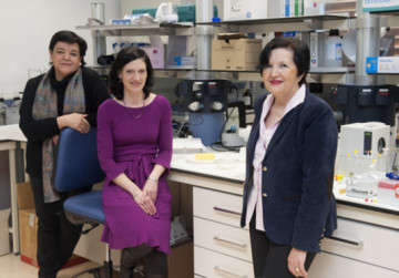 De izquierda a derecha, María Luisa Ibargoitia, Patricia Sopelana y María Dolores Guillén / Nuria González. UPV/EHU