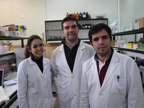 Investigadores del grupo de investigación CAMIALI. / UEx