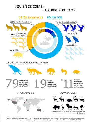 MateoTomasEtAl2015 DiversDistrib _INFOGRAFIA_Español