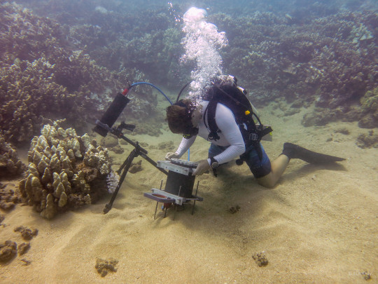 MicroscopeDeployment_Maui1