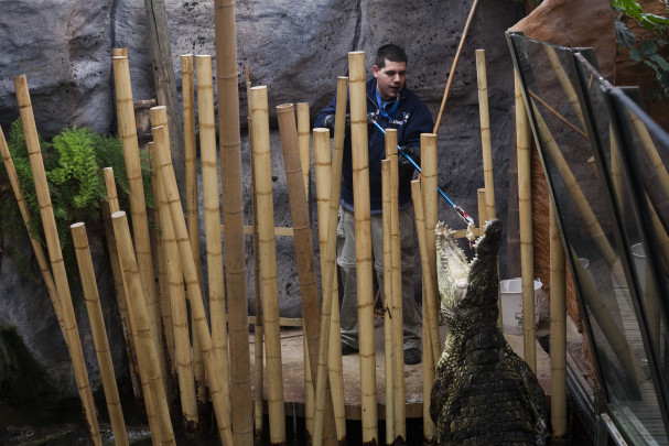 Miguel Ángel alimentando a Kenia Miguel Ángel alimentando a Kenia