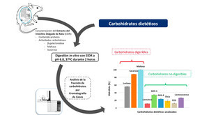 Representación esquemática del modelo in vitro desarrollado para evaluar y analizar la digestibilidad de carbohidratos dietéticos. /UAM